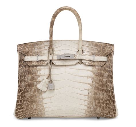 birkins himalayan crocodile.